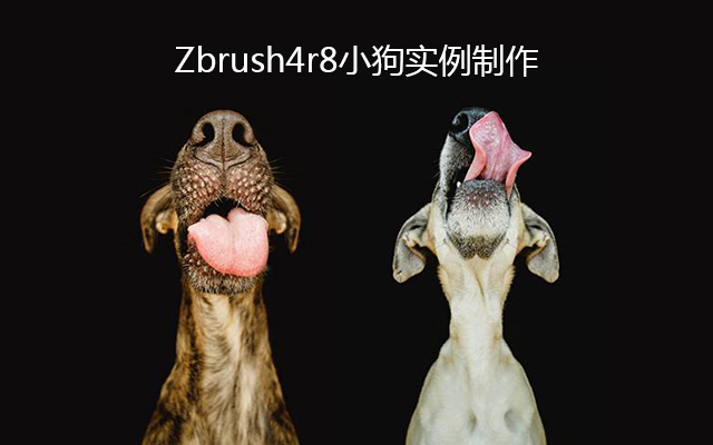 zbrush4r8小狗实例制作