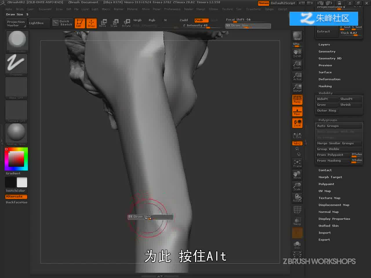 4-6 上臂