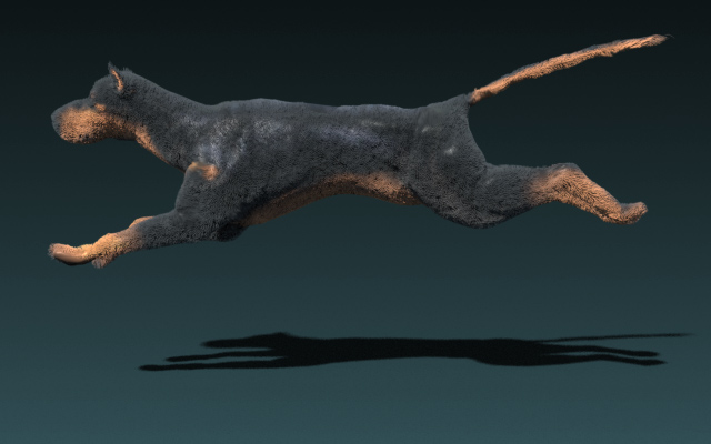 houdini17狗毛皮动画和渲染