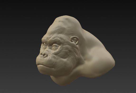 一些3dcoat的练习 懒得雕刻细节的病越来越重了。。。。
