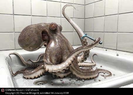 浴室里的章鱼