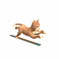 小弟做的猫跑，大家很批