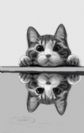 猫咪绘画练习