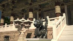 龙 带背景