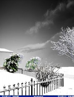 雪景.jpg