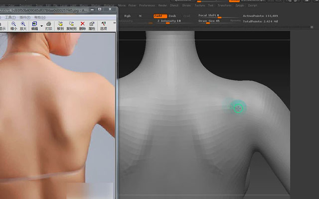 zbrush教程写实女性背部刻画