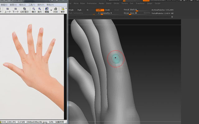 zbrush制作手部教程