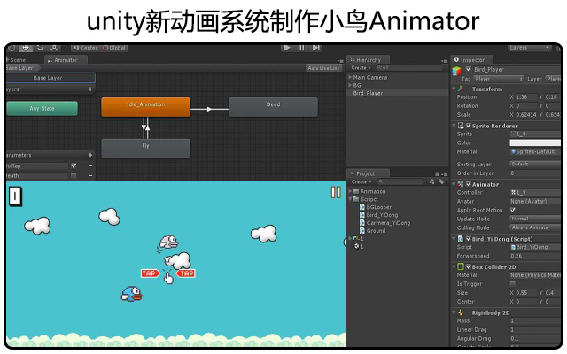 unity新动画系统制作小鸟Animator