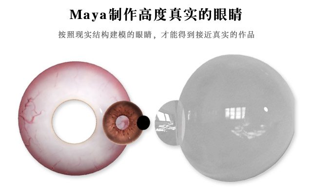 Maya制作高度真实的眼睛