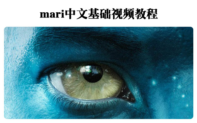 mari中文基础视频教程