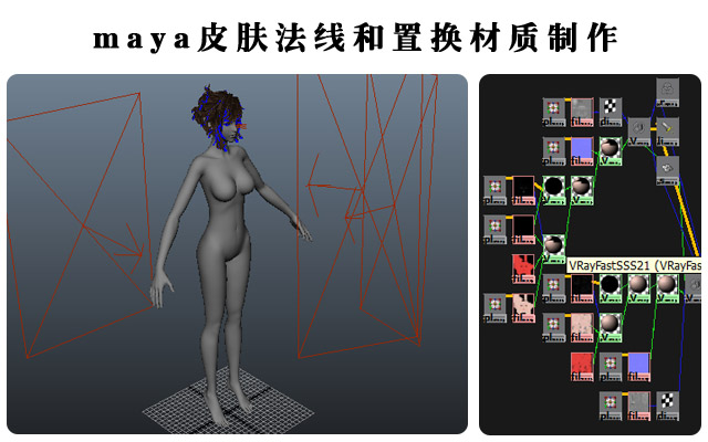 maya身体法线和置换材质