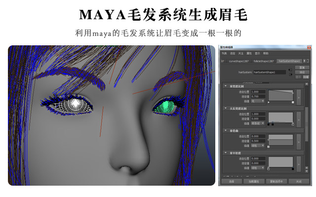 MAYA毛发系统生成眉毛
