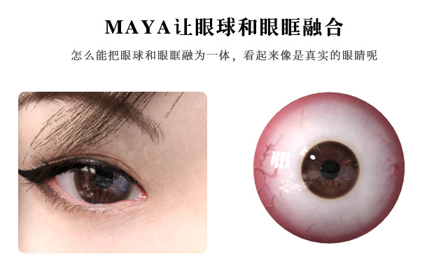MAYA让眼球和眼眶融合