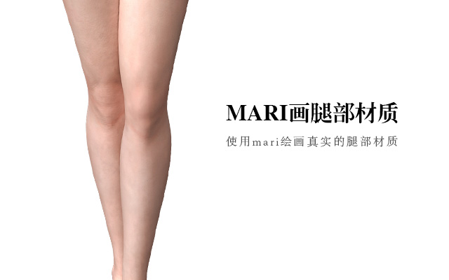 MARI画腿部材质