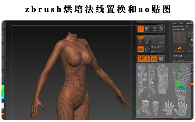 zbrush烘培法线置换和ao贴图