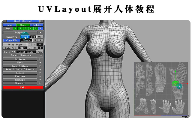 UVLayout展开人体教程