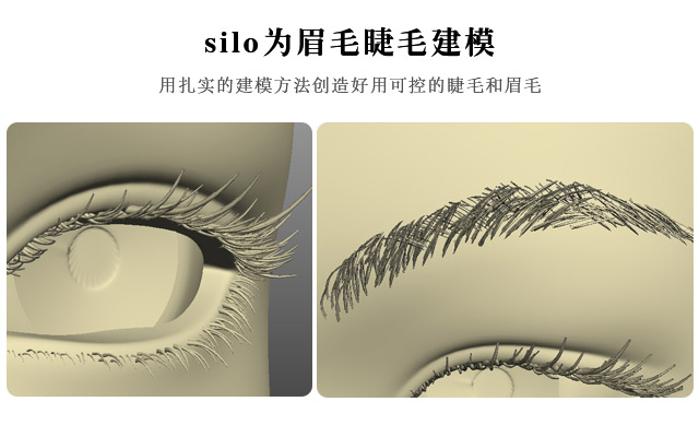 silo为眉毛睫毛建模