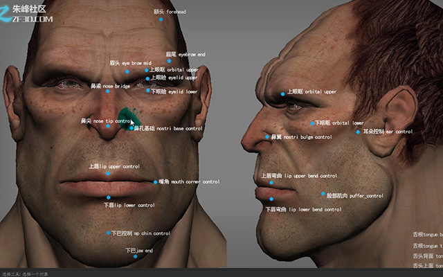 face robot中文教程