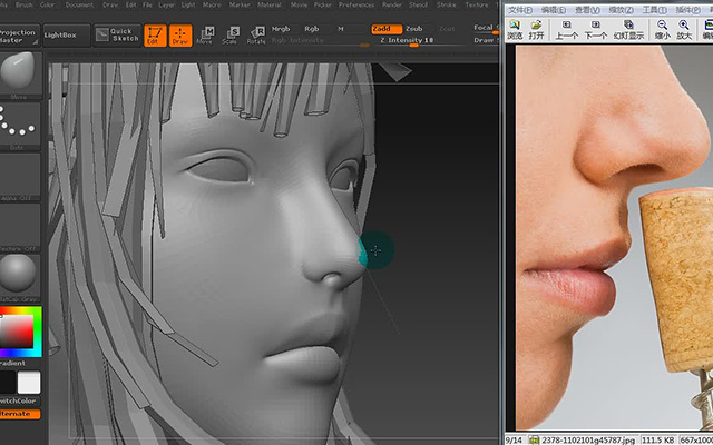 zbrush制作鼻子教程