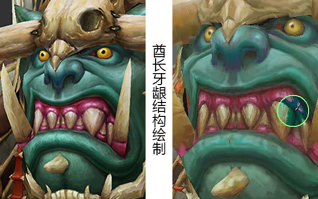 酋长牙龈结构绘制