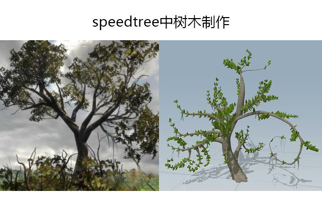 虚幻引擎4speedtree中树木制作